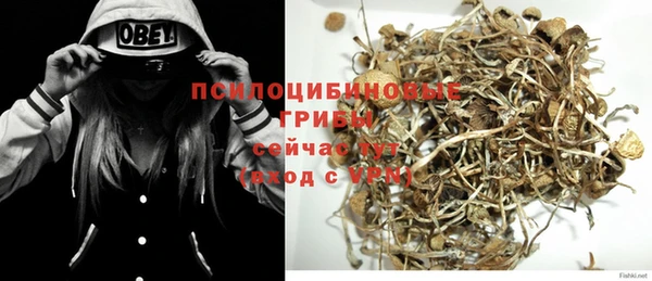 прущий лед Переславль-Залесский