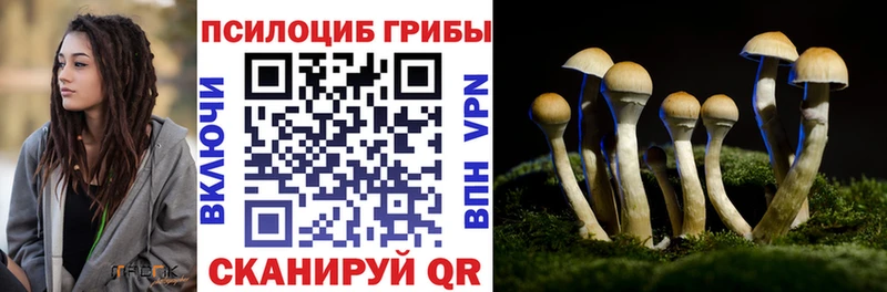 Галлюциногенные грибы мухоморы  хочу   Калининец 